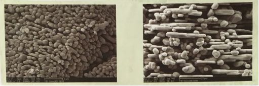 中國鋁業(yè)全面向世界強國挺進 中國鋁業(yè)全面向世界強國挺進